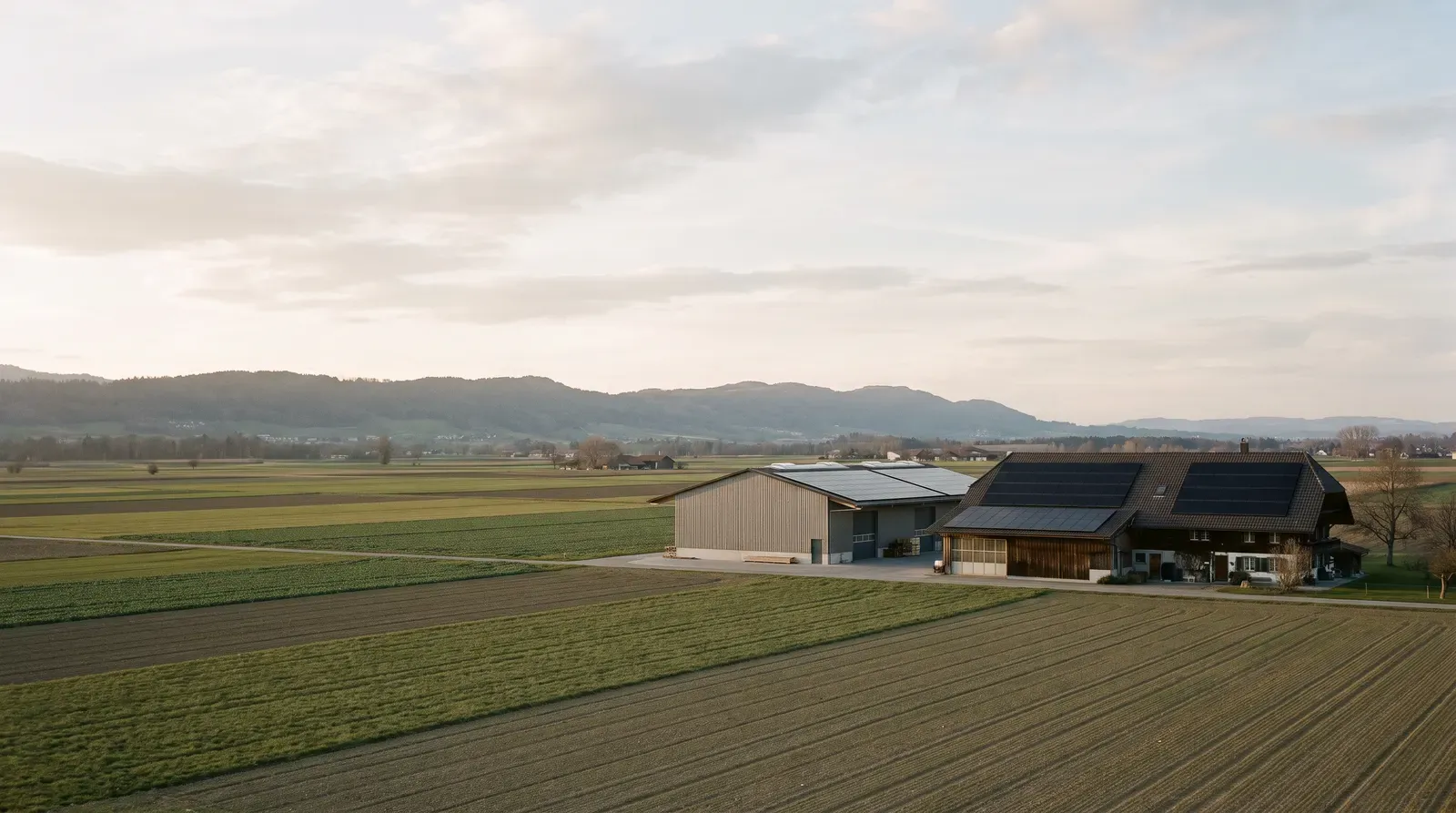 Gemüsefelder im Seeland mit einem Bauernhof und einer Halle, beide Dächer mit Solarmodulen, am Horizont der Jura